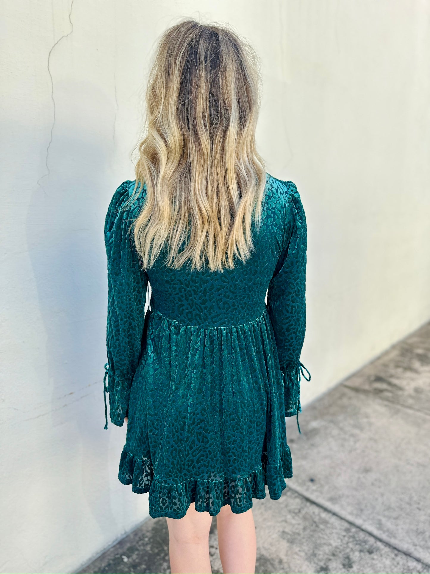 The Velvet Viola Dress